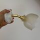 Vintage frosted glass tulip wall light