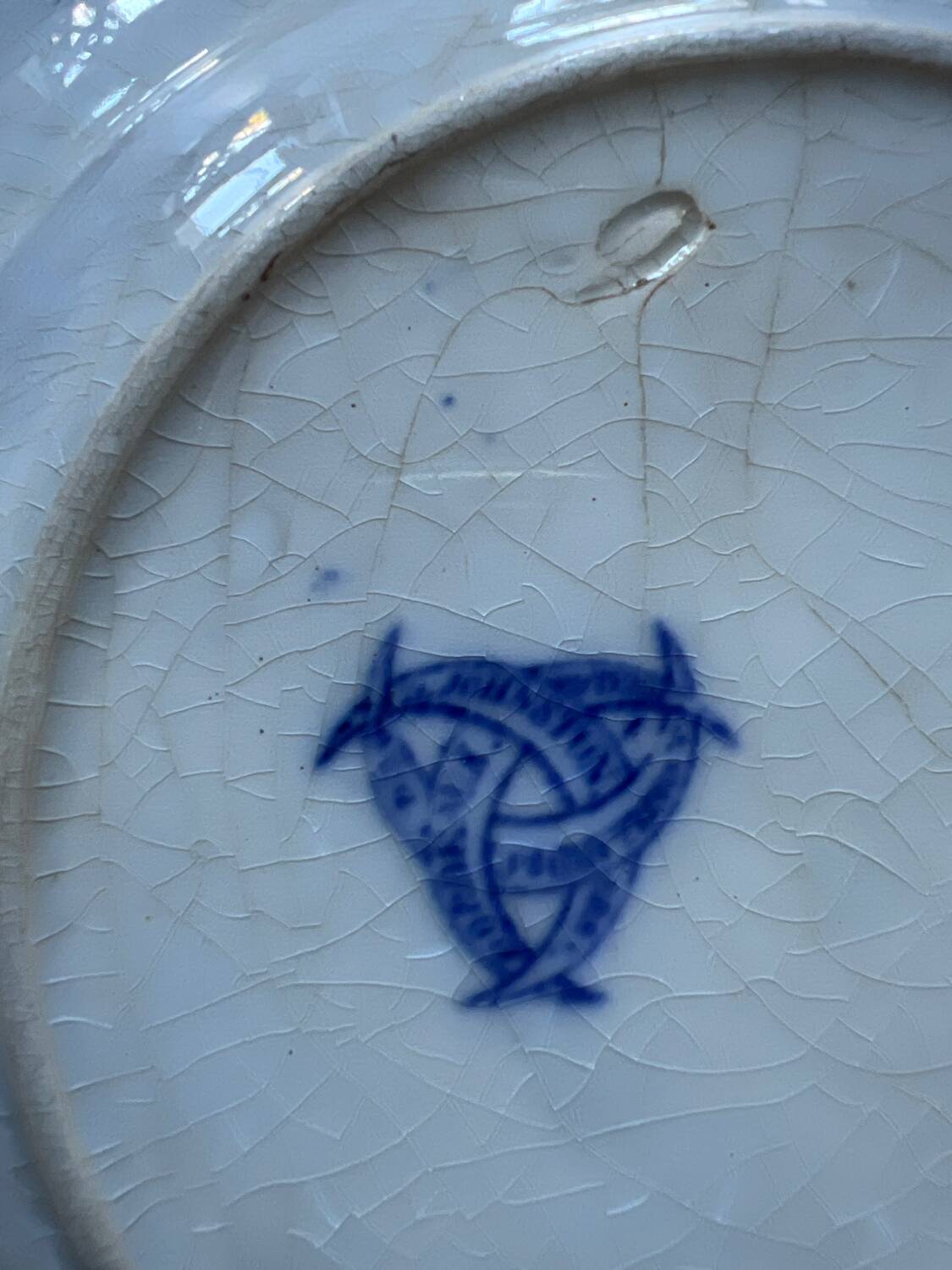 Volubilis plate J Vieillard and Johnston