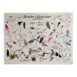 Poster - Birds of Camargue: the aviary