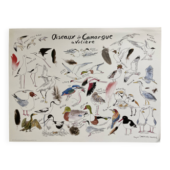 Poster - Birds of Camargue: the aviary