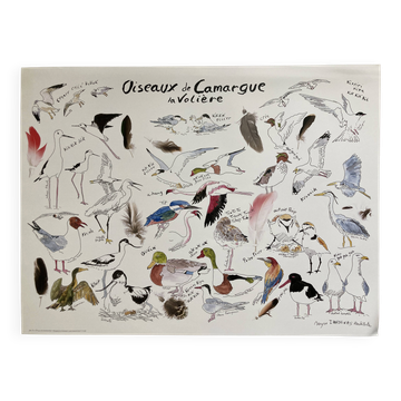 Affiche - Oiseuax de Camargue : la volière