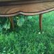 Canine Louis XV style office armchair