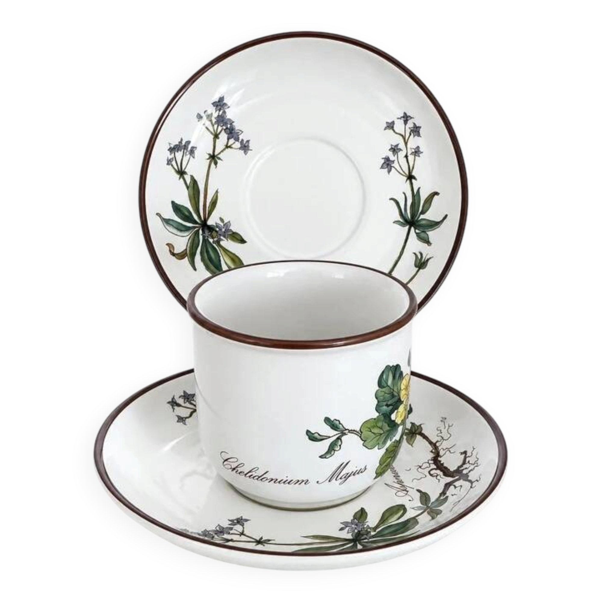 Cup Chelidonium Majus & Saucer Asperula Odorata - Villeroy & Boch Botanica