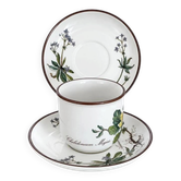 Cup Chelidonium Majus & Saucer Asperula Odorata - Villeroy & Boch Botanica