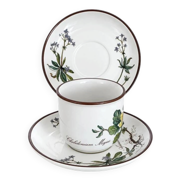 Cup Chelidonium Majus & Saucer Asperula Odorata - Villeroy & Boch Botanica