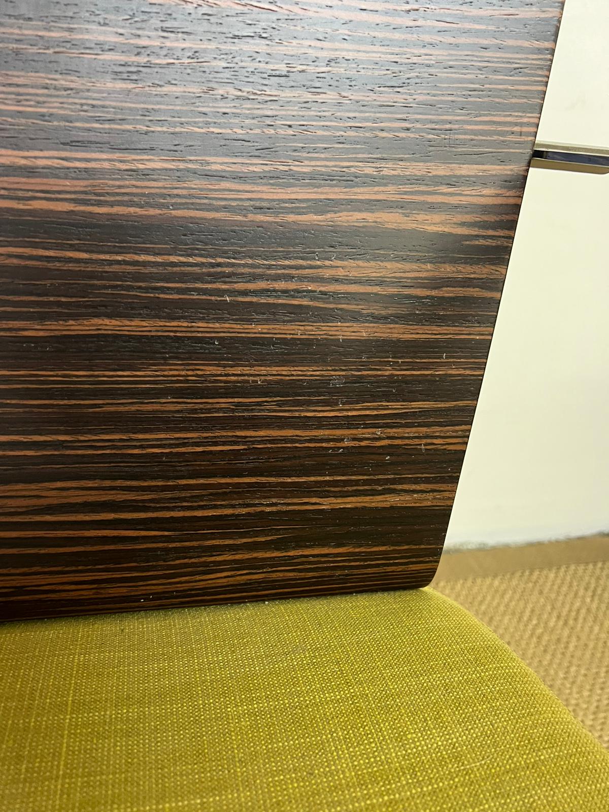 Set of 2 Roche Bobois chairs