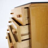 1960s Frantisek Mezulanik Pair of Chest of Drawers, Czechoslovakia