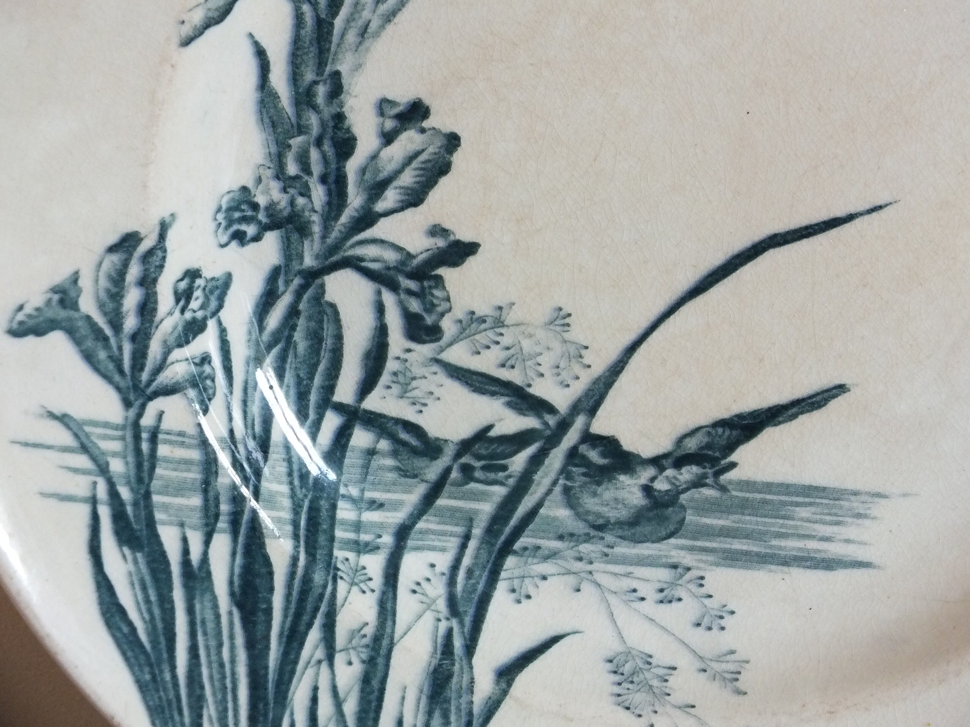 Round dish in Iron Earth, Water Lily Service Salins E.C Samaritan