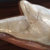 Empty wooden pocket and mother of pearl