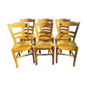 6 chaises paillées en hêtre