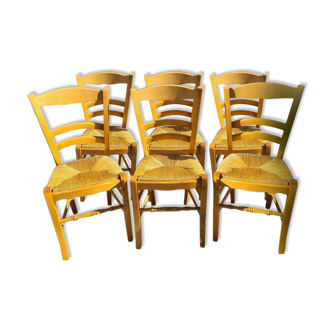 6 chaises paillées en hêtre