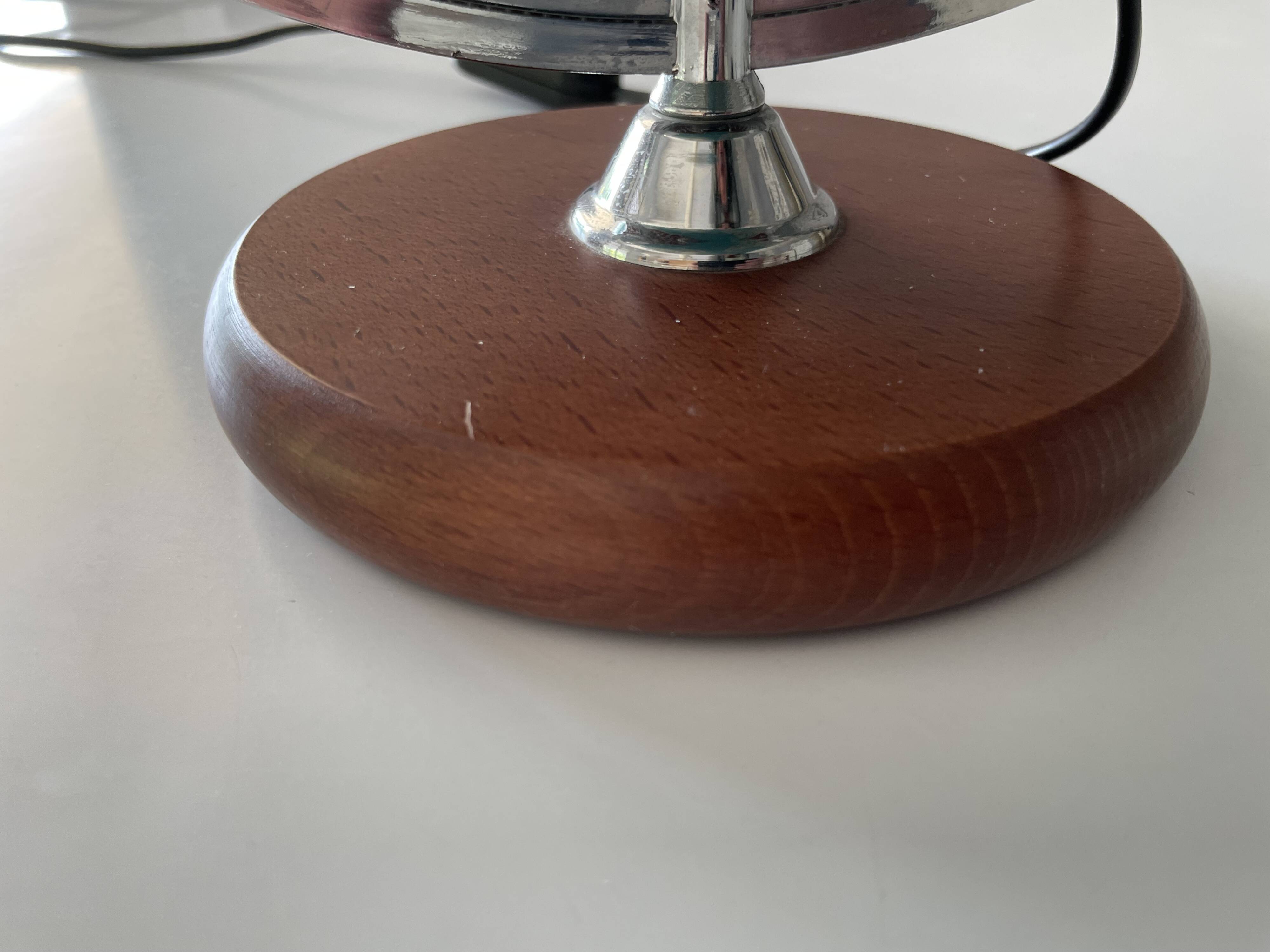 Tecnodidattica terrestrial globe