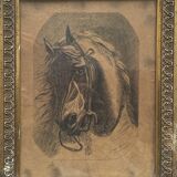 Painting "Portrait of horse" by Jeanne Arrow dated 1894 frame