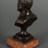 Bronze bust of Pasteur 19th century with chocolate patina on marble base