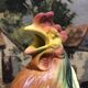 Pichet carafe coq in barbotine france vintage