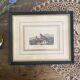 Old framed engraving of birds "red grouse"