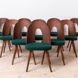Set of 10 Mid Century Dining Chairs by A. Šuman, Reupholstery Options