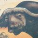Sand painting on wood panel African buffaloes Artist Dm3 (Demba Mbengue)