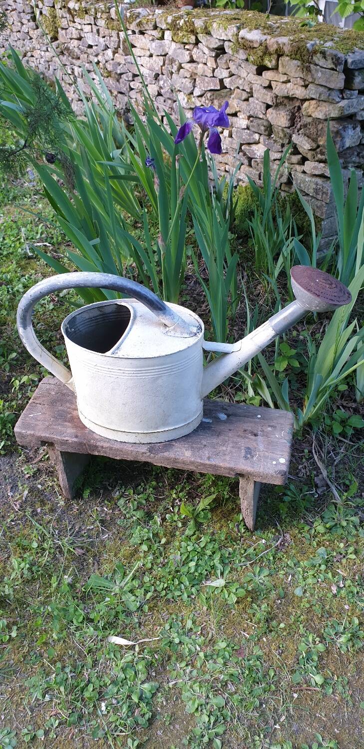 White zinc watering can