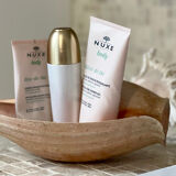 Large Melo Amphora seashell.