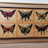 Old painting Butterflies Bernard Buffet 70's