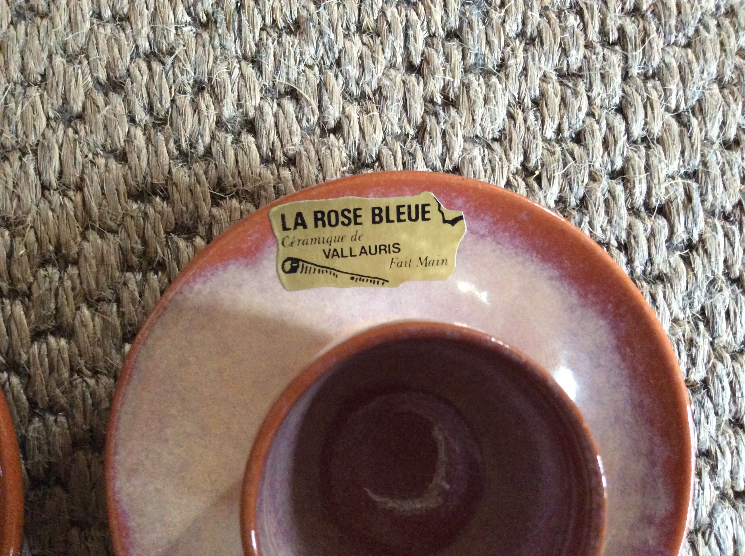 Series of 2 cockroats