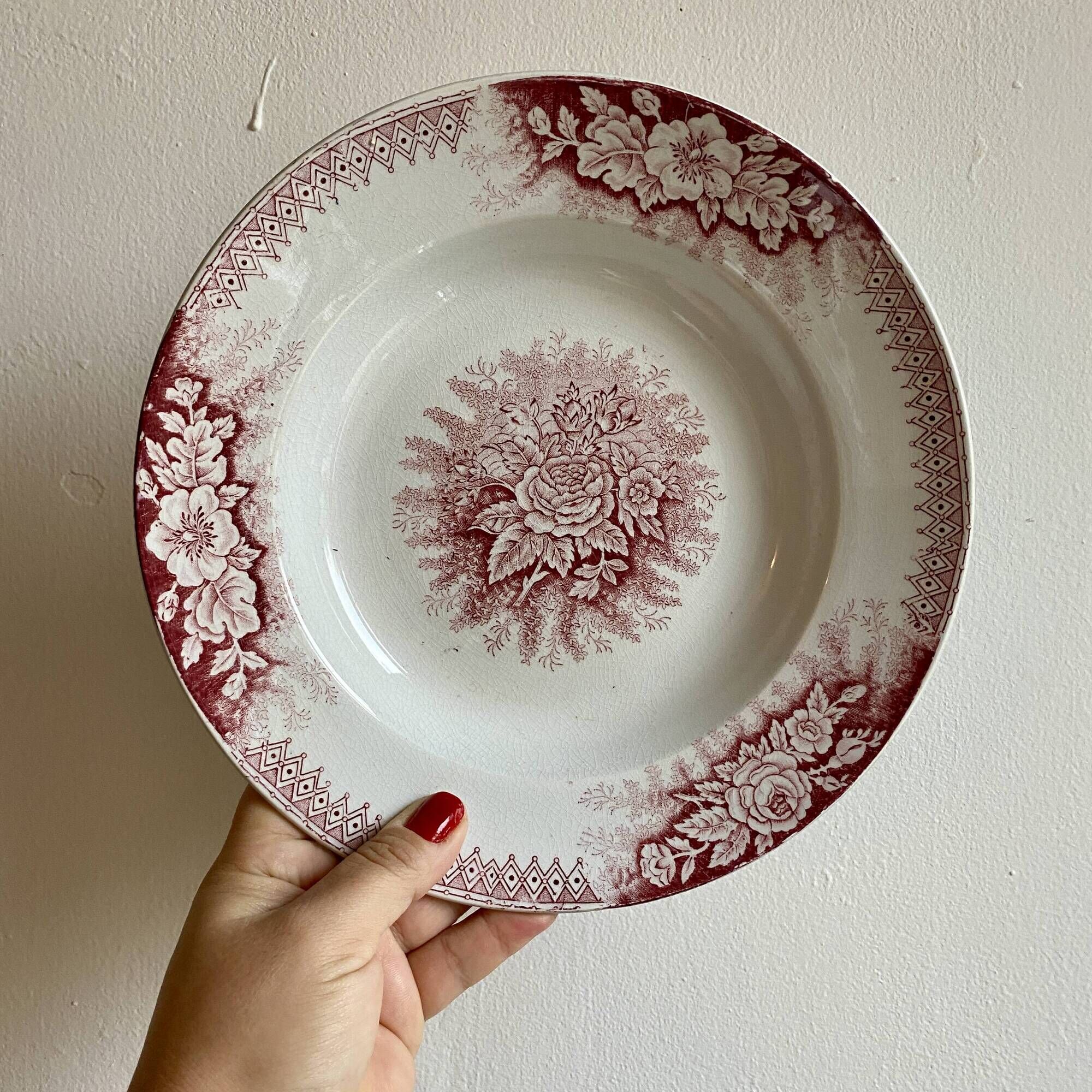 Set of 9 old ironstone hollow plates - Jardinière de Saint Amand