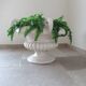 Paolo Marioni coupe / table foot / decoration / container with silk ferns