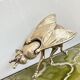 Cendrier mouche vintage