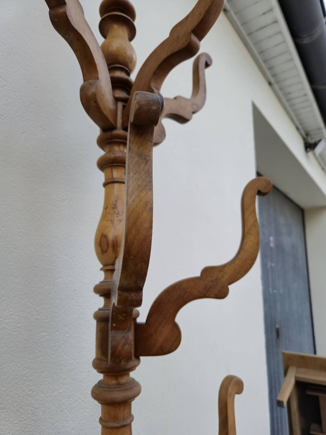 Antique 19th century parrot coat rack