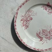 Badonwiller plates
