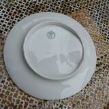 6 Antique plates in Saint Amand slip, ironstone, asparagus