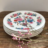 Plates