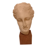 Tête de la déesse Hygie, sculpture grecque du second classicisme, moulage du Musée du Louvre