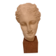 Head of the goddess Hygieia, Greek sculpture of the second classicism, cast from the Louvre Museum