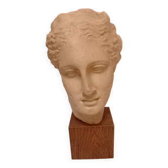 Head of the goddess Hygieia, Greek sculpture of the second classicism, cast from the Louvre Museum
