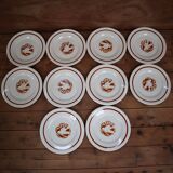 Set of 10 dessert plates iron earth Salins "Colibri" France