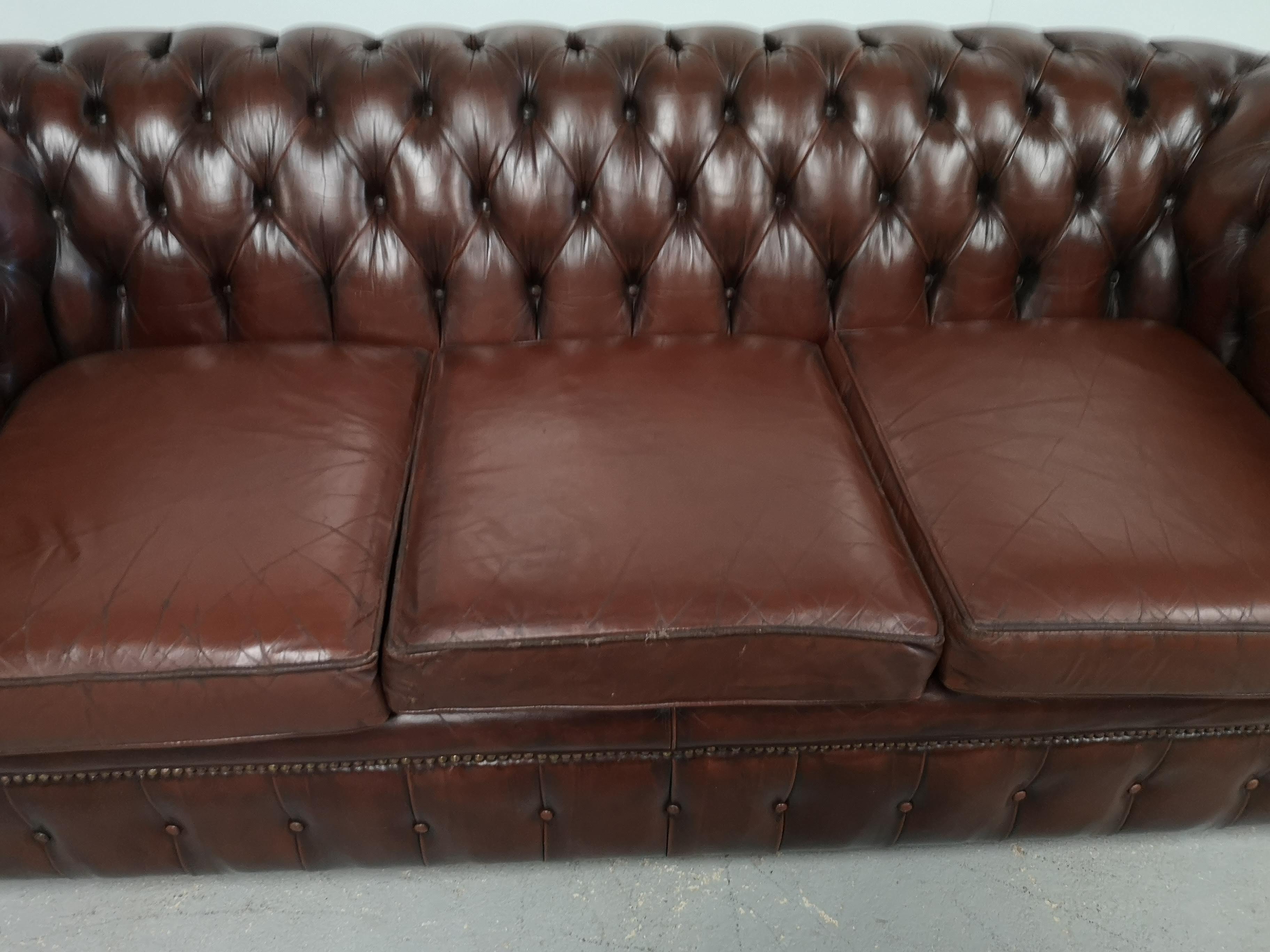Leather chesterfield sofa