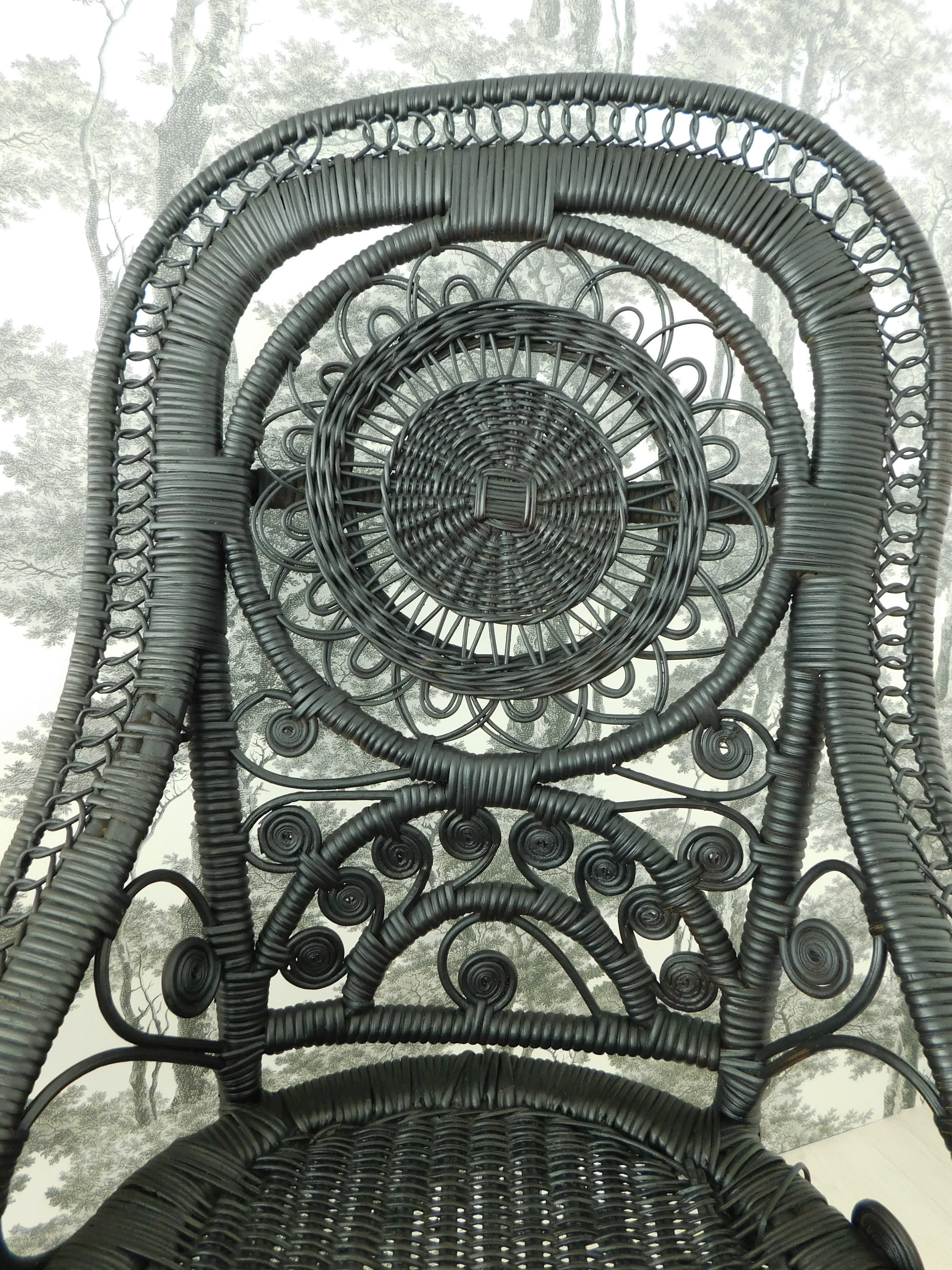 Peacock rattan chair