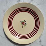7 gien plates