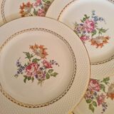Amandinoise flowered dinner plates