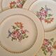 Amandinoise flowered dinner plates