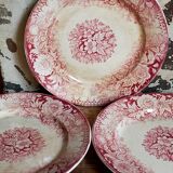 Five plates of earthenware from Pexonne 19th service "flowers"