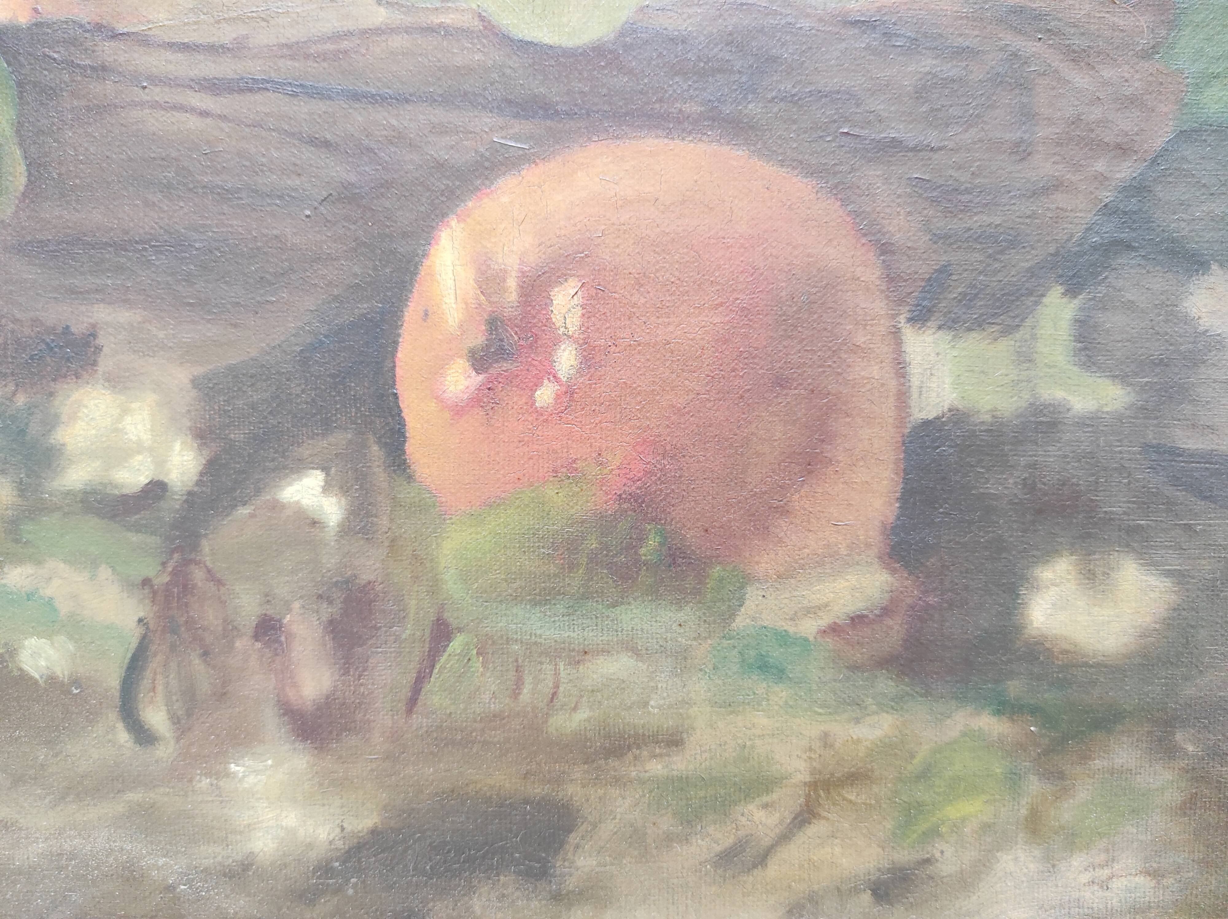 Still life oil on canvas, signed