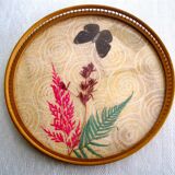 Butterfly tray and coasters