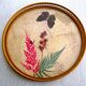 Plateau et sous-verres papillons