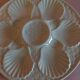 Oyster plate in white earthenware from Longchamp