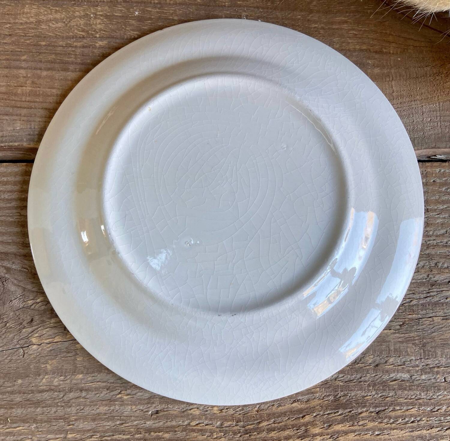 Vintage landscape plate