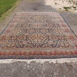 Woolmark rug pure Virgin wool 236 by 330