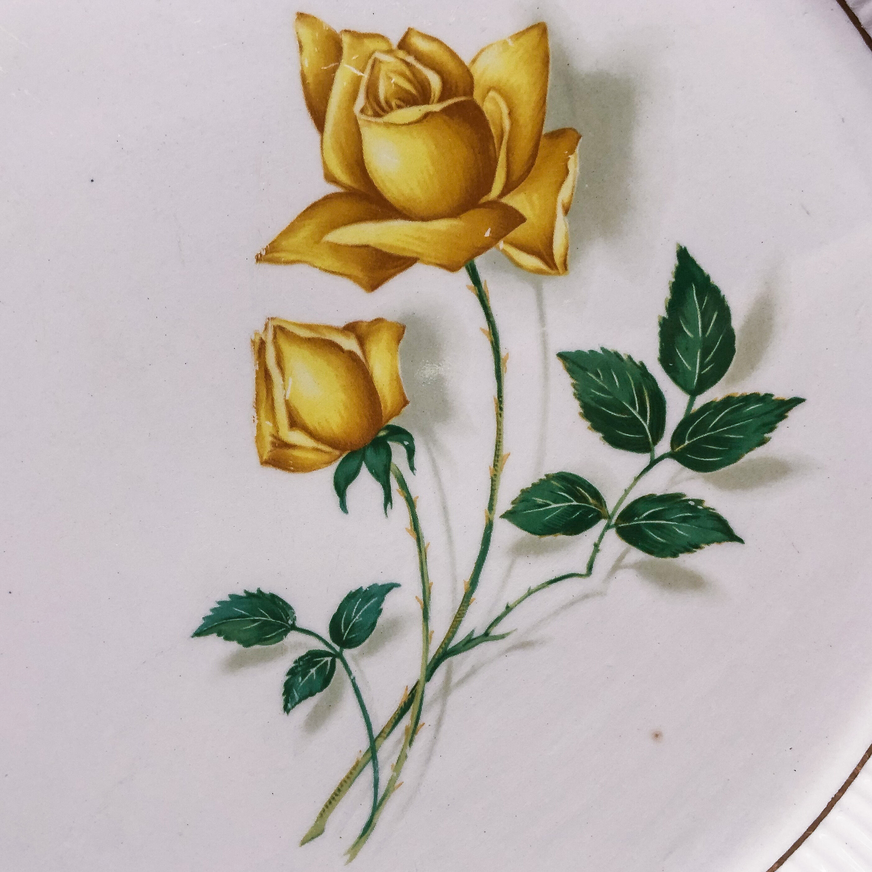 Porcelain dish decorated with yellow mill of Wolves